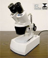SKT Series Stereo Microscopes